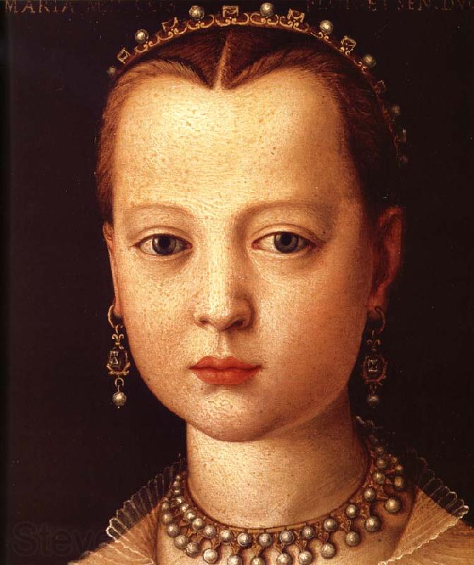Agnolo Bronzino Portrait of Maria de'Medici Spain oil painting art